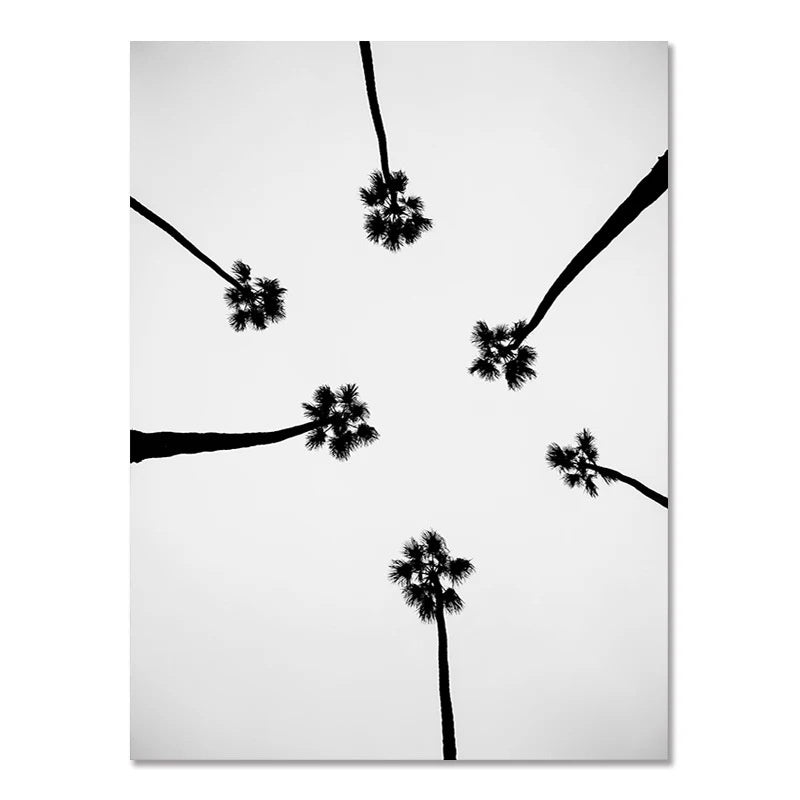 Aqua Reverie